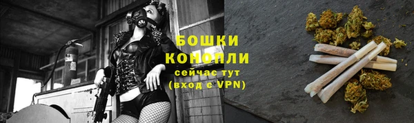 сатива Осинники