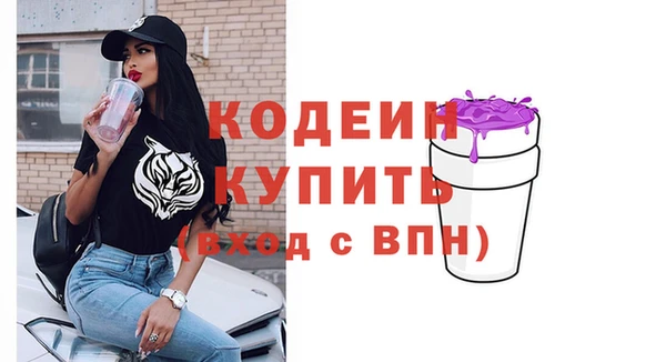 сатива Осинники