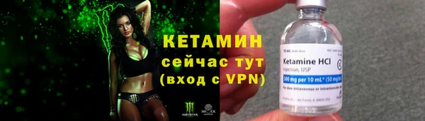 сатива Осинники