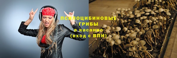 шишки Остров